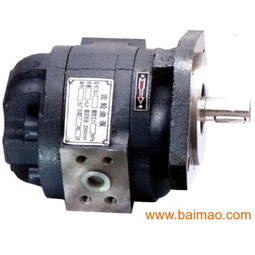 武漢CBG1032齒輪泵 廠家、生產(chǎn)與價格全解析